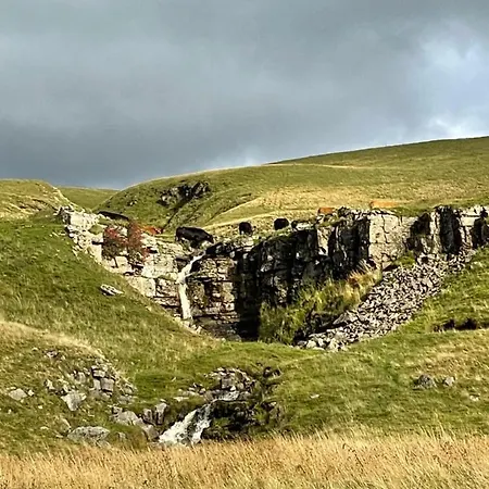 The White Lion